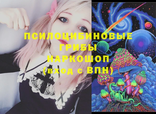 индика Майский
