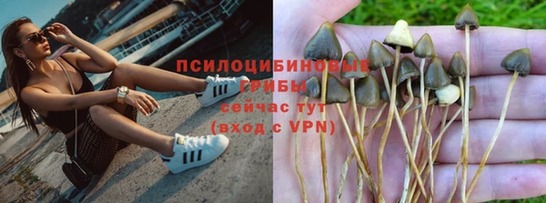 ALPHA-PVP Медногорск