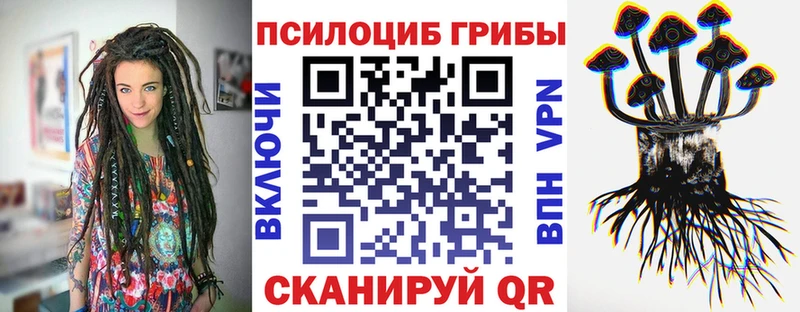 Галлюциногенные грибы Psilocybe  Усть-Кут 